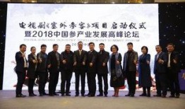 辽宁老总爆料新闻,揭秘企业内幕与行业真相